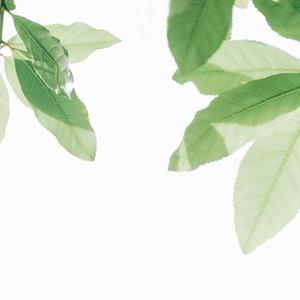 欧美女性裸体虐待捆绑图片
