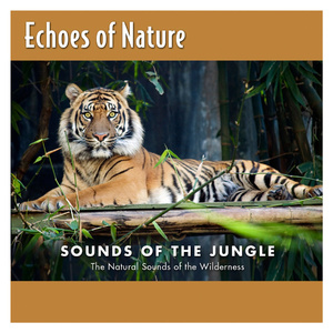 欧美女性裸体虐待捆绑图片
